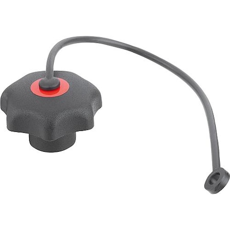 Kipp Star Grips with safety lanyard similar to DIN 6336, stainless, metric K0154.6066